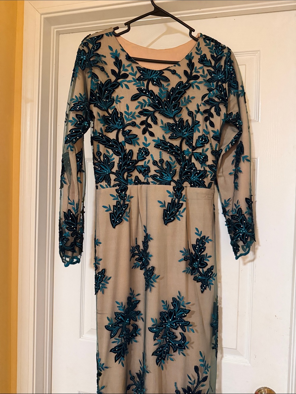 Beige Mesh Long-Sleeve Dress with Teal Floral Embroidery